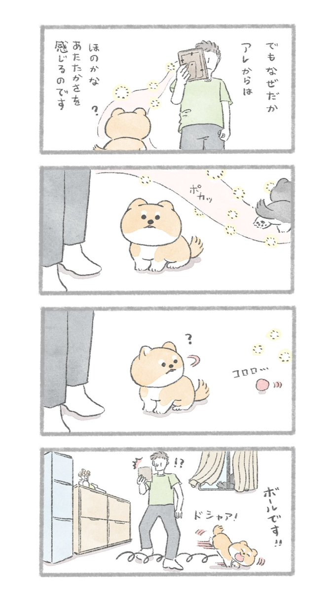 ほのかなあたたかさ
#こんにちはいぬです 