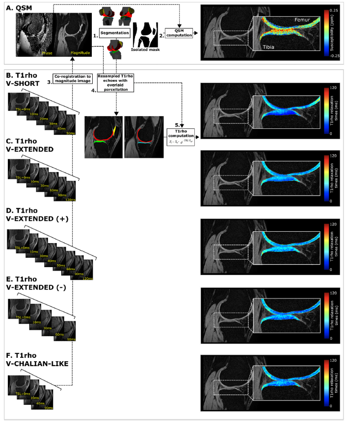 Jed Diekfuss, PhD tweet media