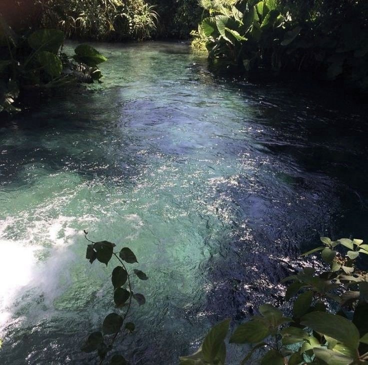 elemmiressoul's tweet photo. under/above water. https://t.co/bHBDEcnF6D