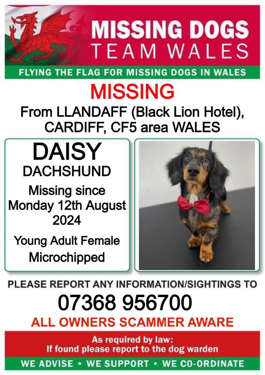 #missingdog #pleasehelp