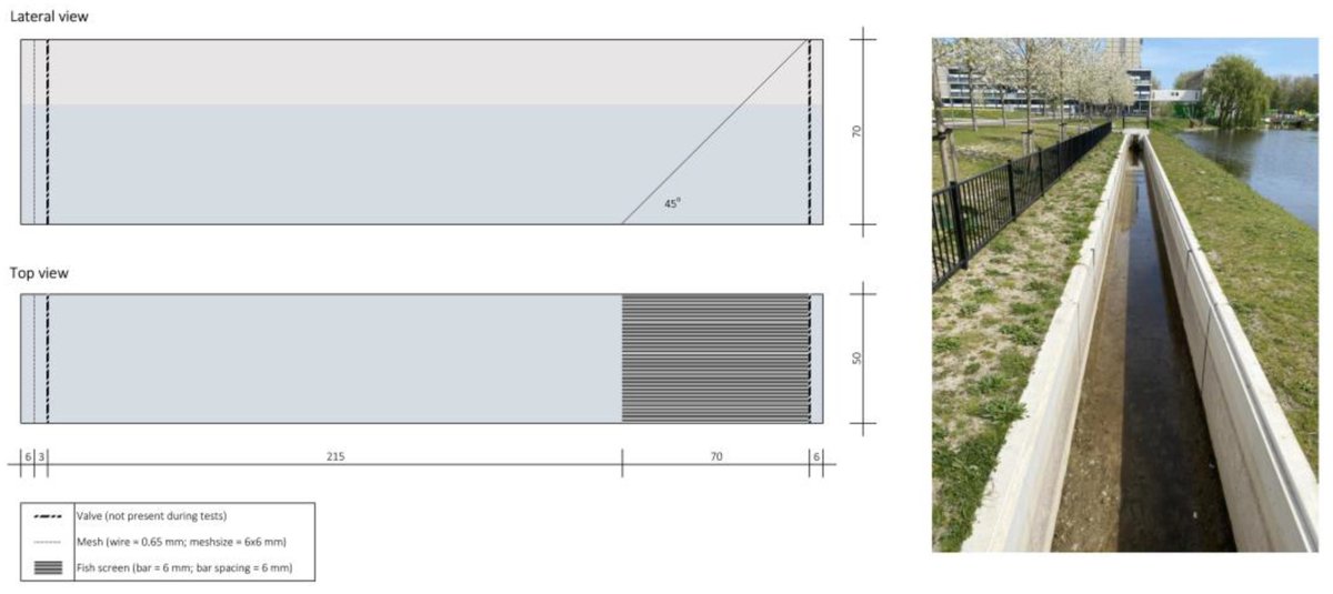 Fishes_MDPI's tweet image. 🐟 #High_Cited

✍️ "Stress Response to Entrainment Flow Speed near Pump Inlet Fish Screens in Two Model #Teleost Species, Anguilla anguilla and Oncorhynchus mykiss" by Andrea Miccoli et al.

👉 mdpi.com/2410-3888/8/3/…

📌 #stress #model