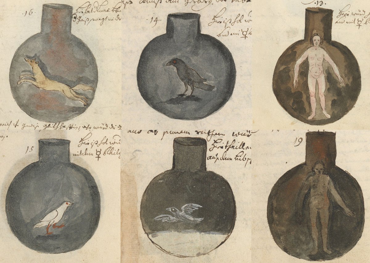 Wellcome Collection tweet media