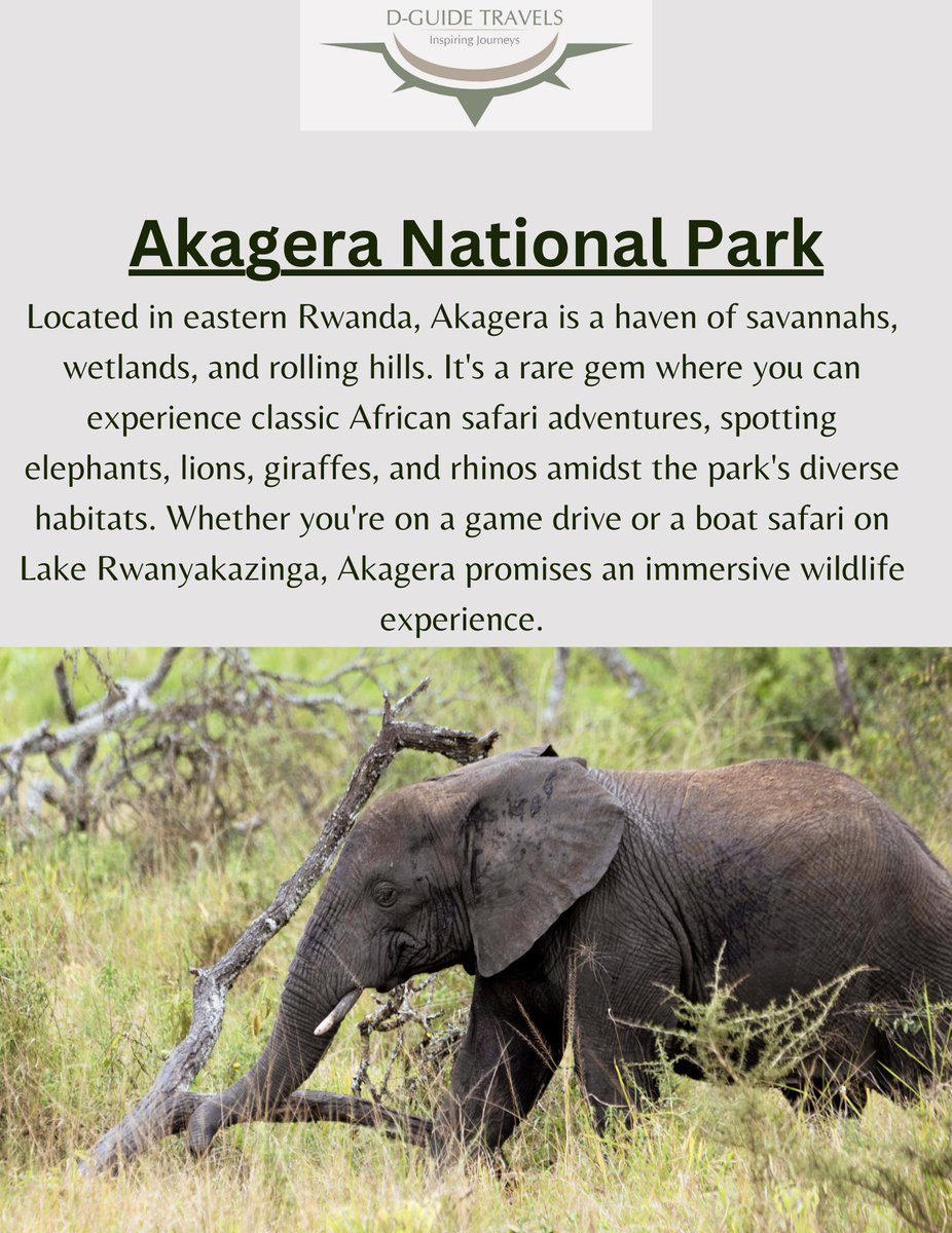 luxehorizons's tweet photo. Discover the untamed beauty of Rwanda’s National Parks, where every trail tells a story. @visitrwanda_now @AkageraPark @NyungwePark @Gishwati_Mukura @VolcanoesPark
#Rwandanationalparks #ExploreRwanda #DGuideExperiences https://t.co/8Kg4IkoDeX