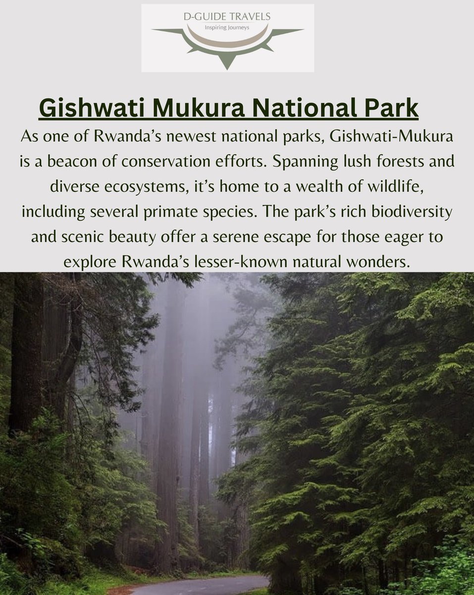 luxehorizons's tweet photo. Discover the untamed beauty of Rwanda’s National Parks, where every trail tells a story. @visitrwanda_now @AkageraPark @NyungwePark @Gishwati_Mukura @VolcanoesPark
#Rwandanationalparks #ExploreRwanda #DGuideExperiences https://t.co/8Kg4IkoDeX