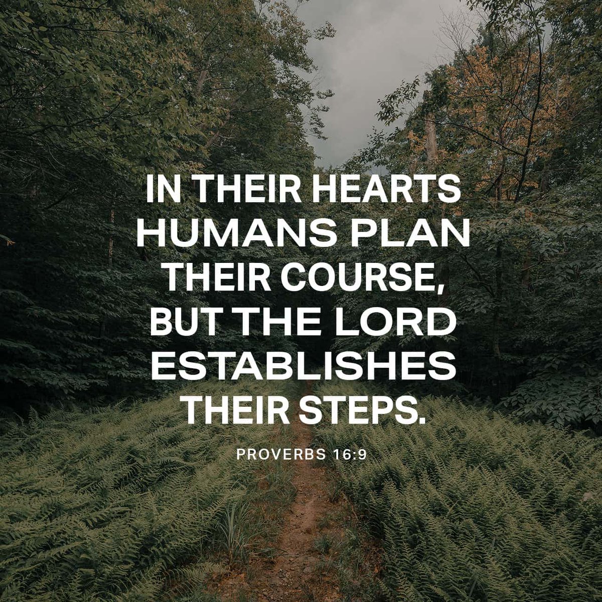 YouVersion's tweet photo. Proverbs 16:9 https://t.co/TlXdgmtK6o