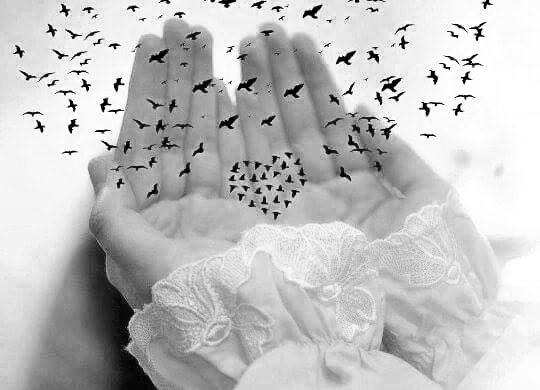 Bir tane bile dur noktanız yok,
Bir tane bile bunu yapmak bana yakışmaz dediğiniz yer yok.
Bari bunu yapmayayım hissiniz yok,
#Saygınız yok,,,
Acınası hallerdesiniz bundan bile haberiniz yok yok yokkkk..!   🕊🕊

Allah'ım kötü huylarımızı yüreğimizden al #Yarabbelâlemin