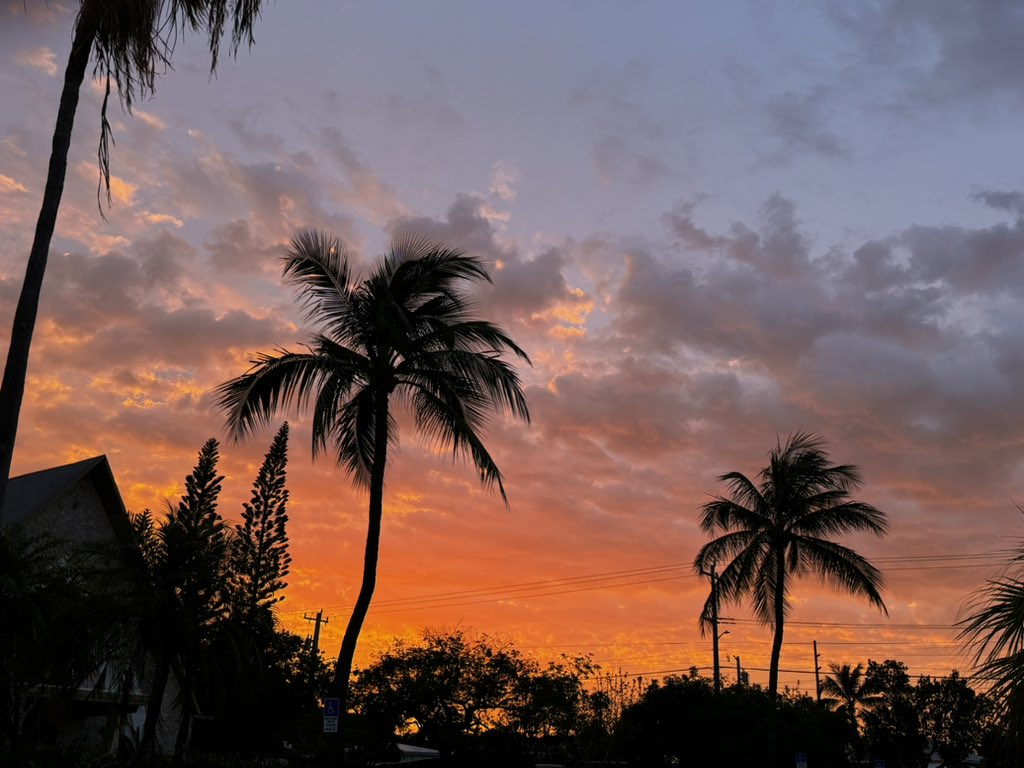 #sunset #island #vacation #FamilyFun <a href="/VISITFLORIDA/">VISIT FLORIDA</a> <a href="/KeyWestWildlife/">KWWildlifeCenter</a> <a href="/kwattractions/">Key West Attractions</a>  <a href="/keywestdirect/">Jamie Olwell</a>