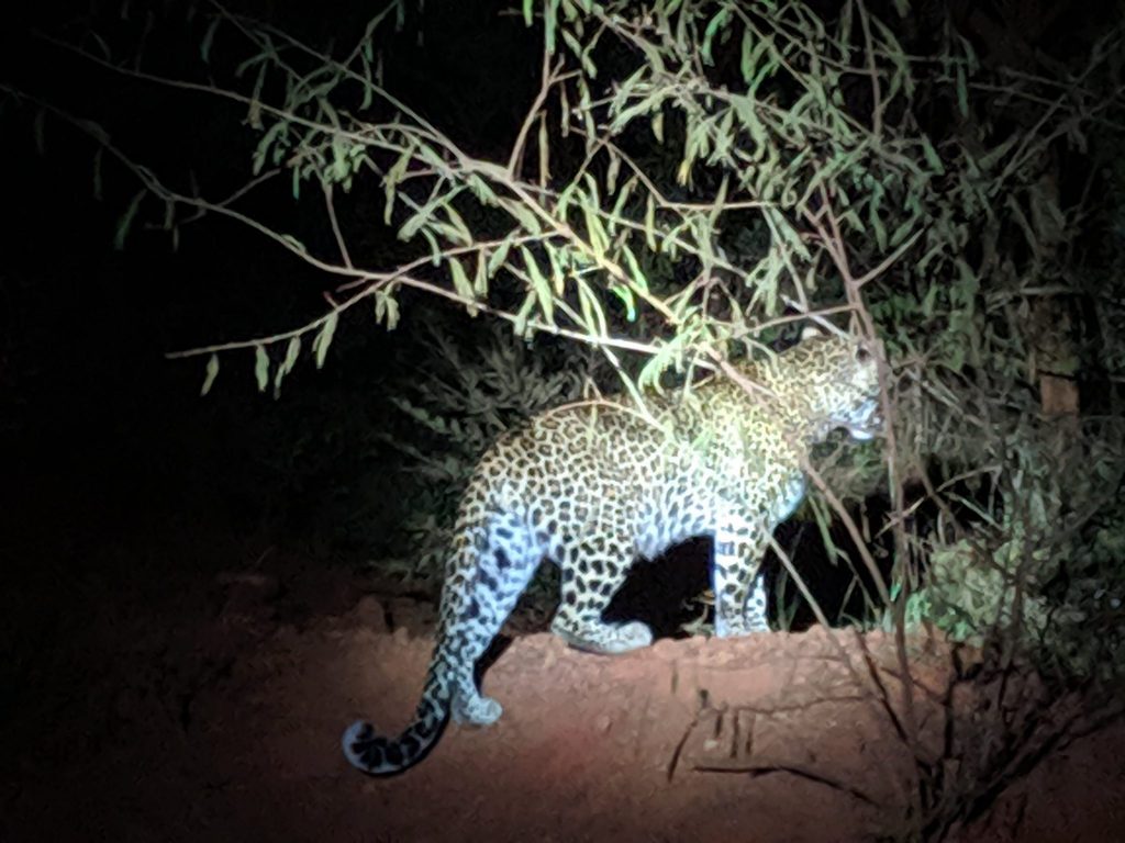 goselfdriverw's tweet photo. Big 5 in Akagera National Park are one of the biggest attractions in Akagera whereby travelers get to see the Lions, Elephants, Buffalos, Leopards, and Rhinos. Rwanda is truly the Land of a thousand hills. Website:https://t.co/lmcR1IgY3Z
Email us::info@goselfdriverwanda.com https://t.co/cNqAC1jGrX