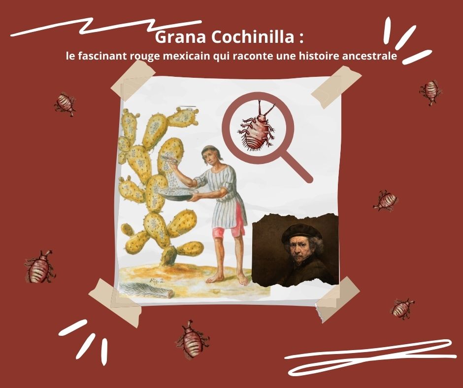 EmbaMexFra's tweet photo. Savez-vous quel est le point commun entre un cactus, Rembrandt et le Mexique ?

C'est la cochenille ! 🐞

Découvrez son histoire au Musée Écologique de la Grana Cochinilla Nocheztlicalli @nocheztlicalli à #Oaxaca. Ne manquez pas cette expérience unique !

https://t.co/odZyZNxSCM https://t.co/m984bn3NWf