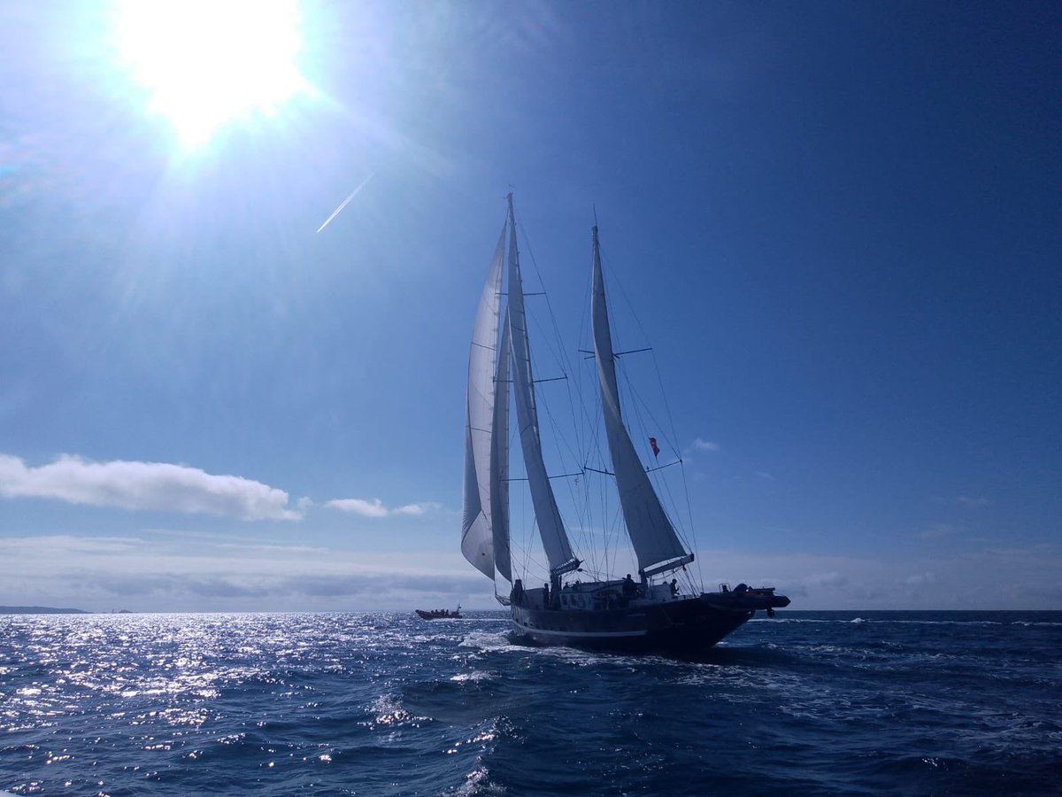 OYT South tweet media