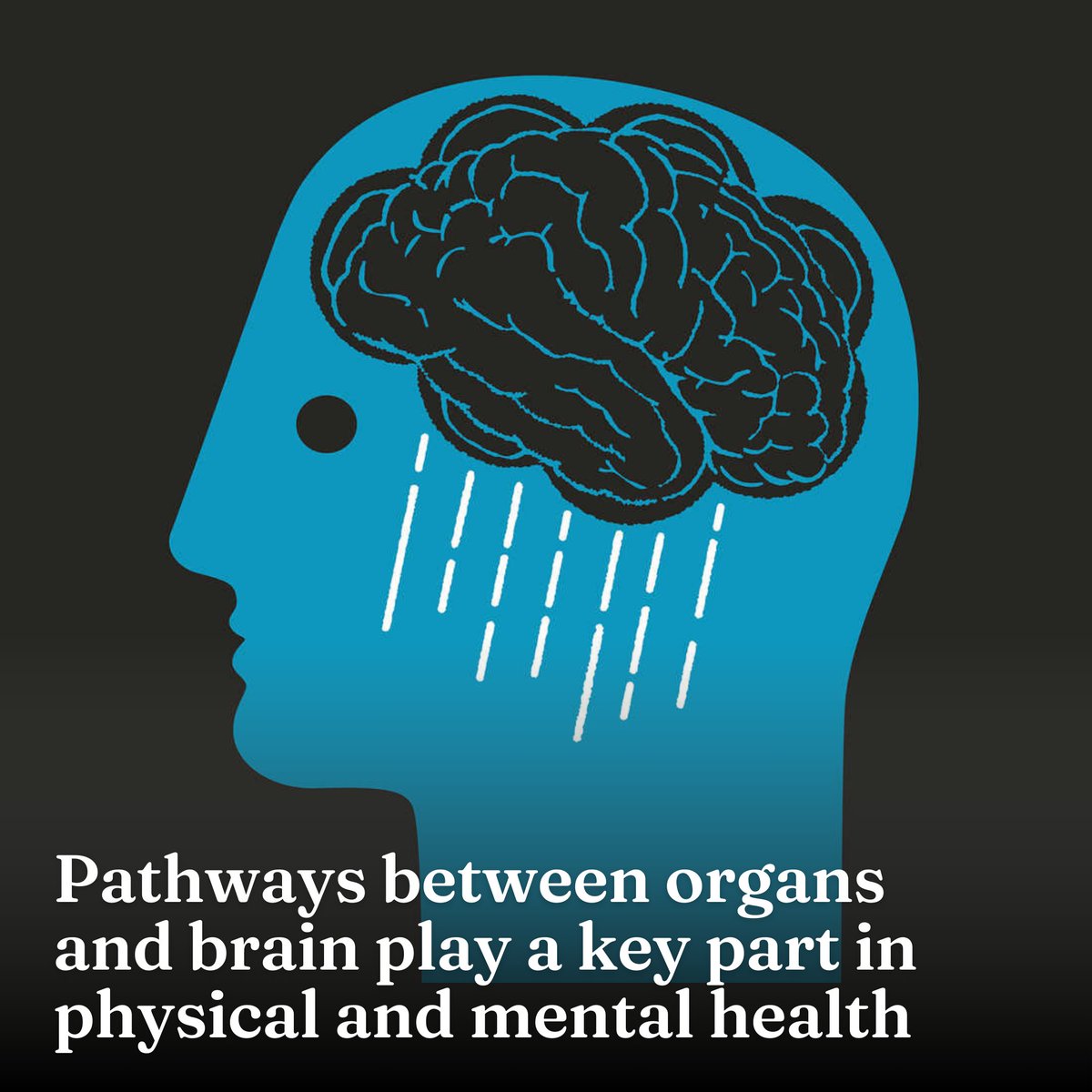 Faculty of Engineering and Information Technology (@feitunimelb) on Twitter photo 🧠 A collaboration between <a href="/Cambridge_Uni/">Cambridge University</a> @UCL <a href="/UniMelb/">University of Melbourne</a> has used advanced statistical models to uncover pathways between organs & the brain that impact mental health – with poorer organ function linked to depression.
Learn more via <a href="/Nature/">nature</a> → unimelb.me/4dJ0sMv <a href="/UniMelbMDHS/">UniMelb MDHS</a> 🧠 A collaboration between <a href="/Cambridge_Uni/">Cambridge University</a> @UCL <a href="/UniMelb/">University of Melbourne</a> has used advanced statistical models to uncover pathways between organs & the brain that impact mental health – with poorer organ function linked to depression.
Learn more via <a href="/Nature/">nature</a> → unimelb.me/4dJ0sMv <a href="/UniMelbMDHS/">UniMelb MDHS</a>