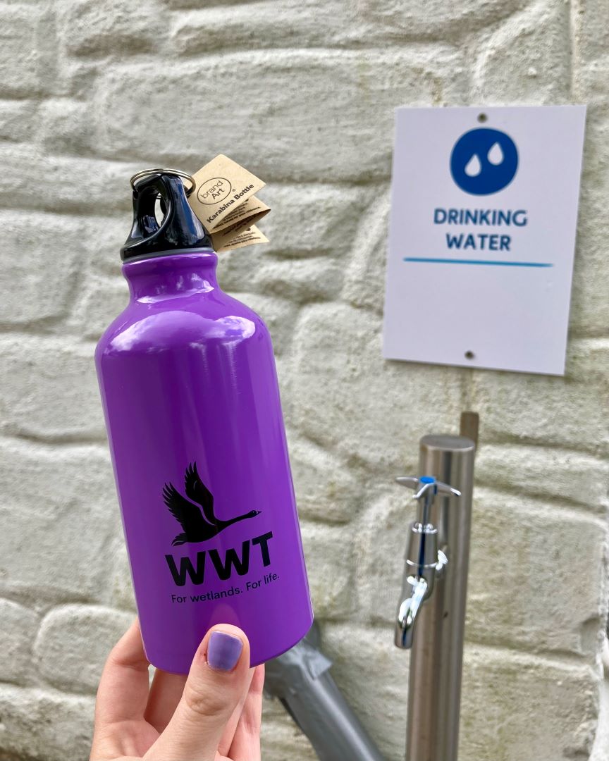 WWTCastleEspie's tweet image. Need a refill? 💧

Stop by our new drinking water tap at the front of the centre! You’ll find it right across from the bicycle rack and tool station.  

(You&apos;ll also find these awesome water bottles in our shop! 💜)

#WWTCastleEspie #Refillution