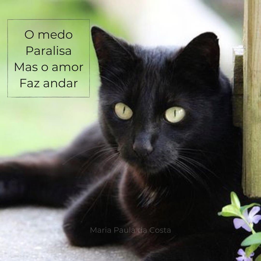 MPaulaOrganizer's tweet photo. Agosto me traz lembranças de amor, de irmãos e amigos leoninos, de sortes que tive, de beijos que dei… 🌺 https://t.co/V17J0tQCur