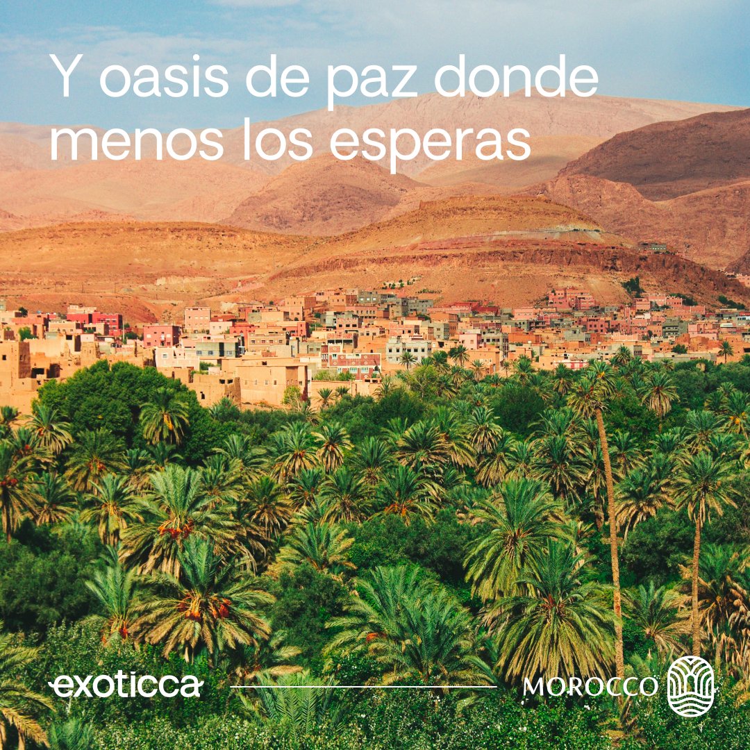 Exoticca_ES tweet media