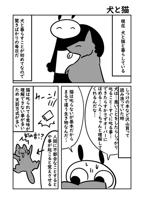 (2/2)犬と猫全然違ってびっくりした話 