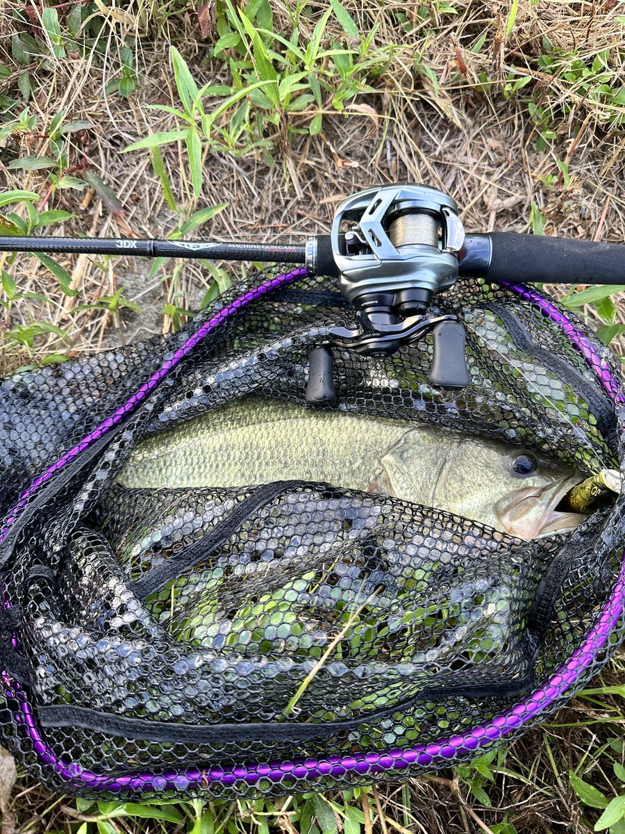 shiroginchoko's tweet photo. 昨日とりあえず入魂してきました！ポップXで釣れた魚は40アップでした！
ブラックジャックは上手く説明できないけどとりあえずすごいロッドでした😆

#バス釣り
#霞ヶ浦
#スティーズ
#ダイワ https://t.co/YPJHK4hTQ5
