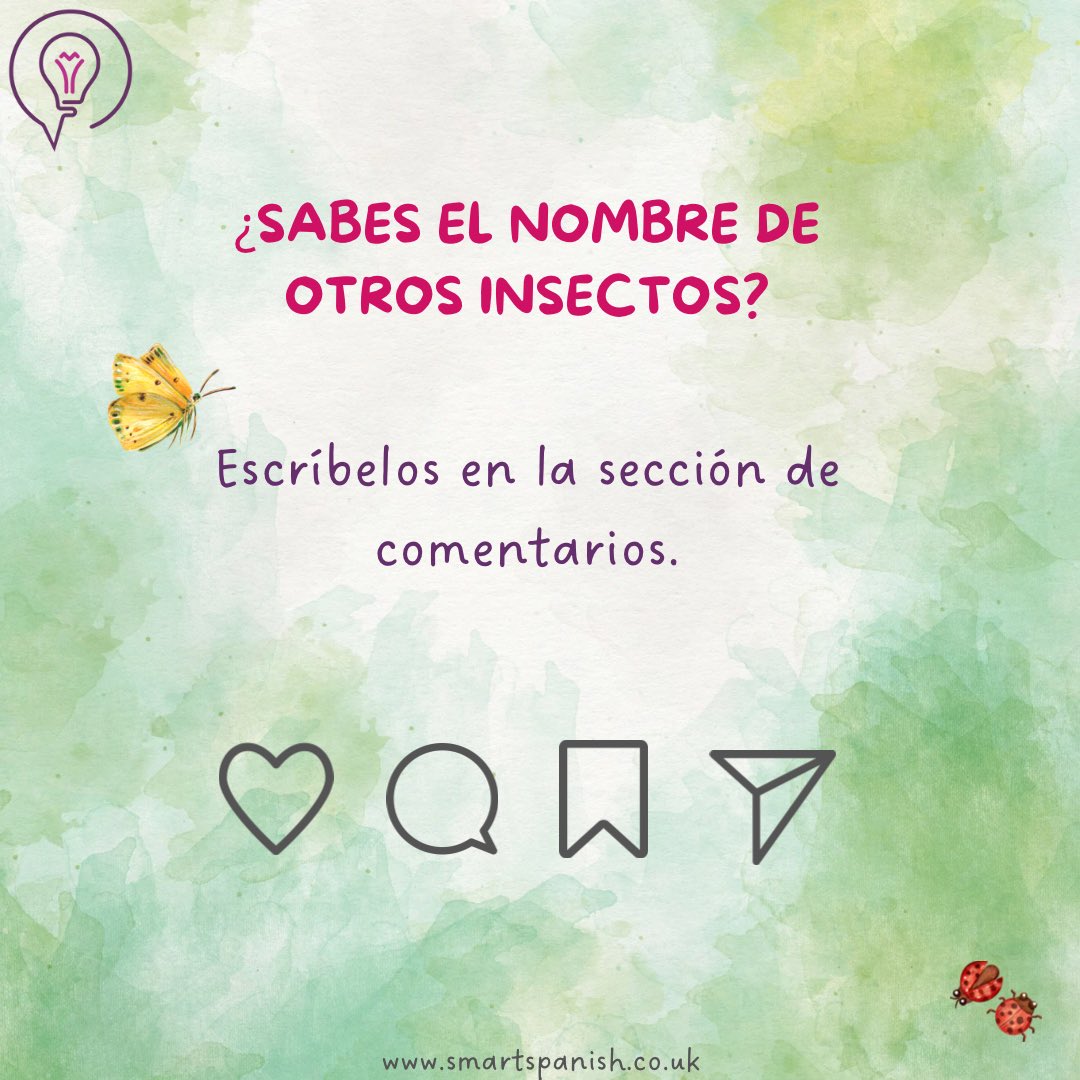 smart_spanish's tweet image. Do you know the names of other insects?

Leave your answers below!👇🏻

#smartspanish
#smartwords
#vocabularioenespañol
#namesofinsectsinspanish
#insectos
#insectosenespañol
#learnspanish
#learnspanishonline
#onlinespanishlessons
#London
#Basingstoke
#Barcelona