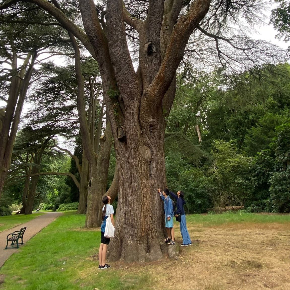 Changing Lives tweet media