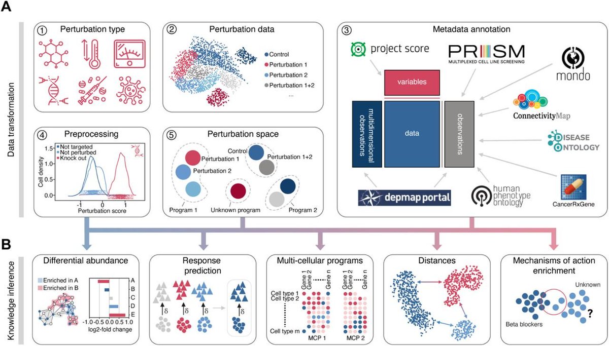 I'm stoked to announce our new end-to-end framework for perturbation analysis! Our scverse advisory committee highlighted that a maintained and well-documented framework for perturbation analysis is missing. Pertpy is our attempt to satisfy this request
biorxiv.org/content/10.110…
