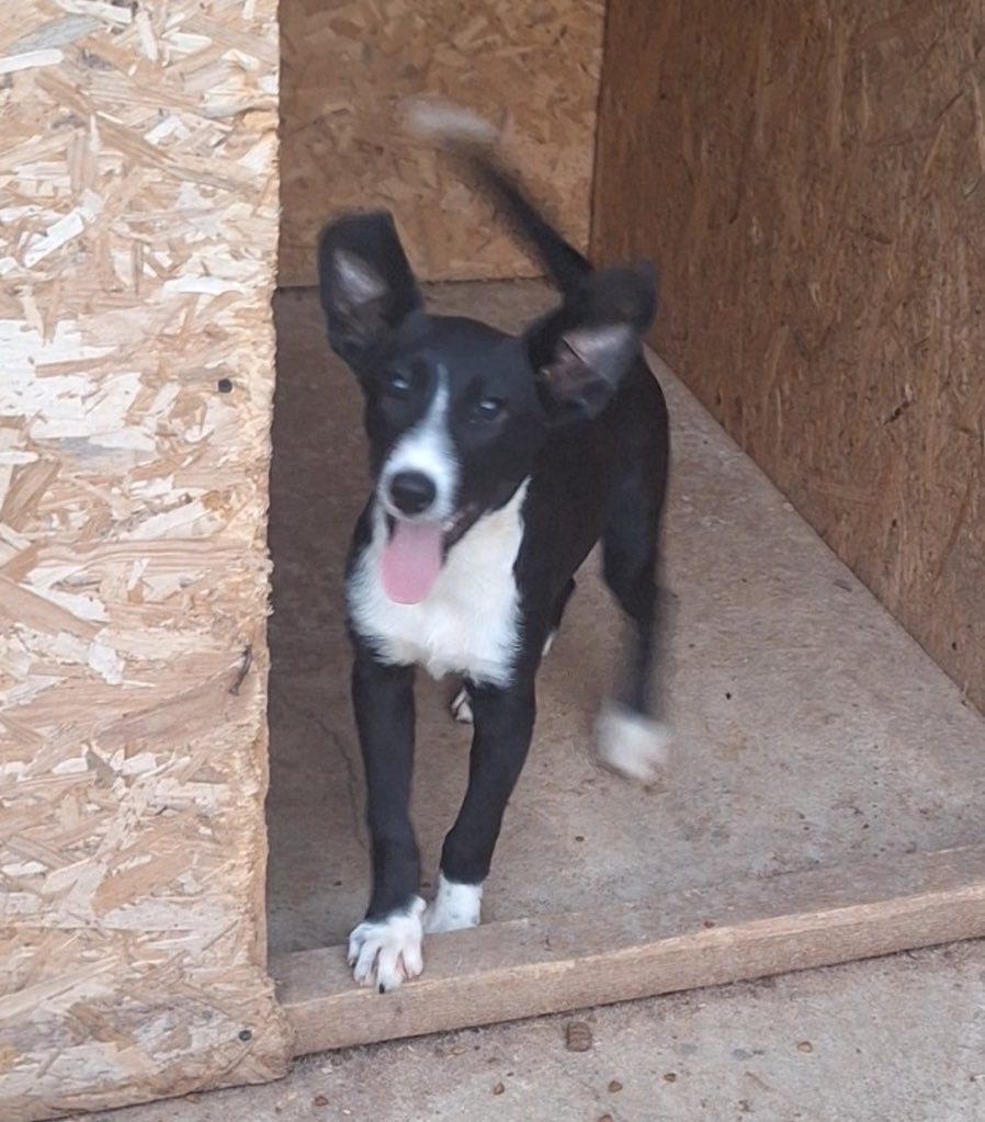 Can anyone help with Tilly’s bus fare?
She still needs £95 and time is running out … less then 6 days to raise 🙏