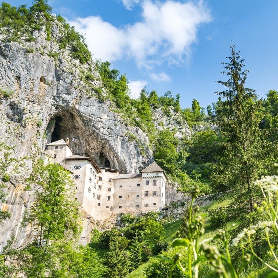 Zelenikras's tweet photo. Why is Postojna Cave Park the coolest place in Slovenia? Enjoy the refreshingly cool cave temperature!
#postojnacave #predjamacastle #ifeelslovenia #greenkarst https://t.co/br3V04ZRCT