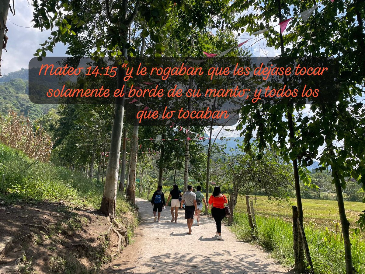 PrJoseGuevara's tweet photo. Al leer este texto, comprendemos que no fue una sola mujer sino, varios fueron sanados, tan solo, tocando el manto de Jesús. Nosotros también podemos obtener sanidad física y espiritual. #Rpsp #RiD #PrimeroDios https://t.co/EpMlrI3c20
