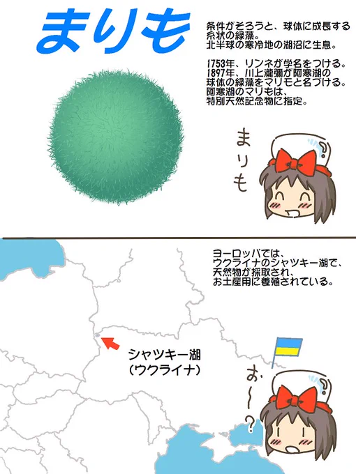 売れのこったブラウン管のおはなし。(1214)

まりも 