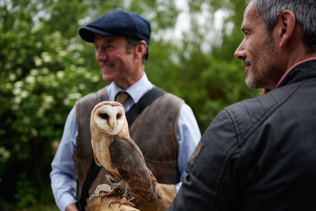 Ireland Chauffeur Travel tweet media