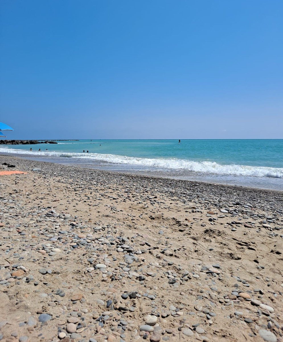 Ataraxya tweet media