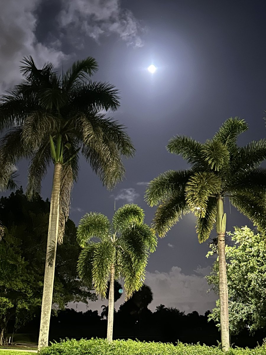 David Redden tweet media