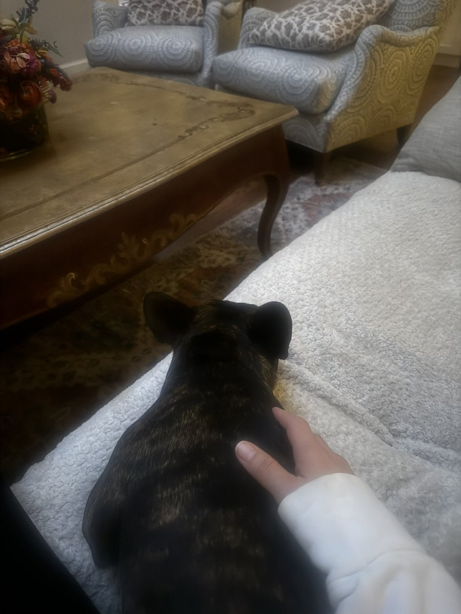 TracyHMeyer's tweet photo. #5amwritersclub started with coffee and a Leonard snuggle rather than a computer and productivity. 😆 #AuthorsOfTwitter #GenerationAnnihilation https://t.co/q6iqEGzYPA