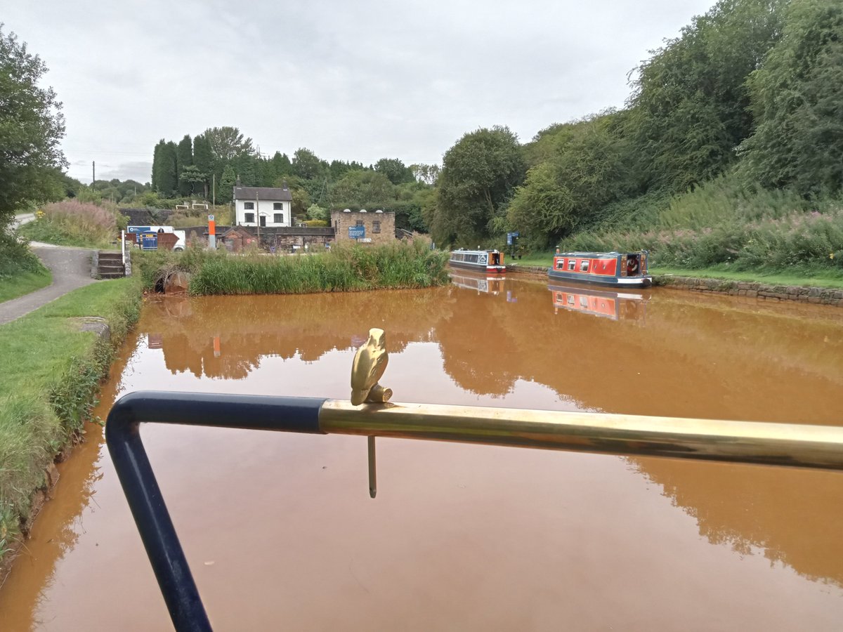 SonningBear's tweet photo. Huddlesford and I are having a #BoatingBears day with Polar, Grizzly and Grizzly's old friend Mr Nick.

This looks familiar! https://t.co/iRgnzQiXvS
