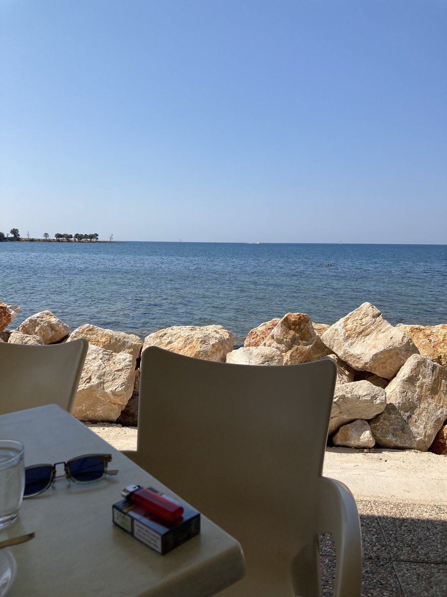 Gm pups 🐶 🌞 ☕️ 🌊