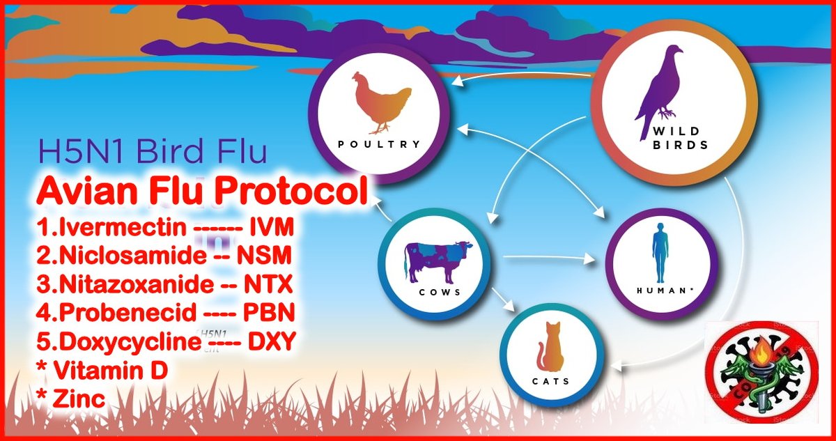 manote01433503's tweet photo. Avian Flu Protocol: Update 1.8.2024 
สำหรับไข้หวัดนก หรือ H5N1

1. Ivermectin: IVM
2. Niclosamide: NSM
3. Nitzoxanide: NTX
4. Probenecid: PBN
5. Doxycycline: DXY
* Vitamin D
* Zinc https://t.co/wFp1NQCL45