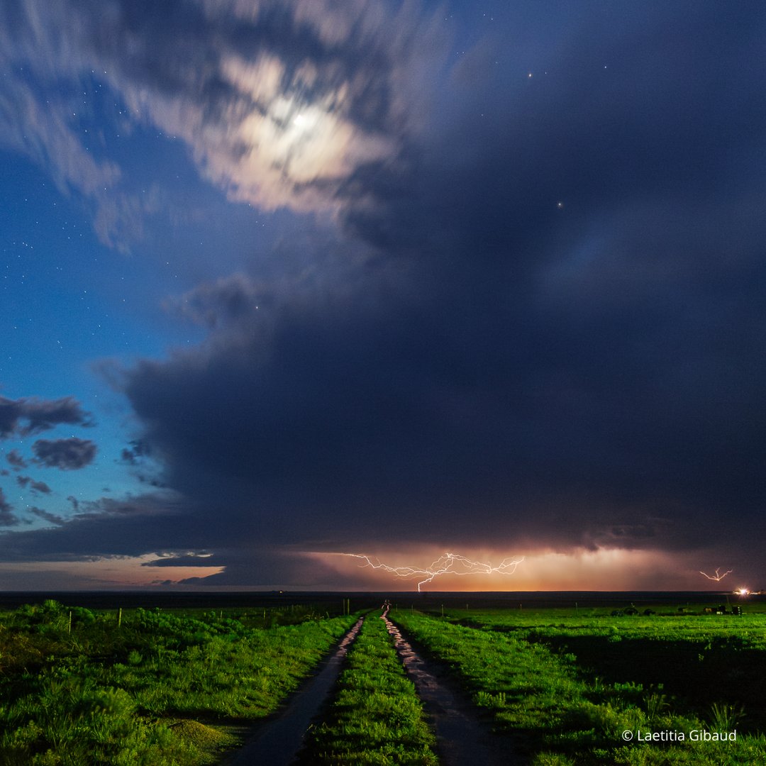 Éditions Marchialy tweet media