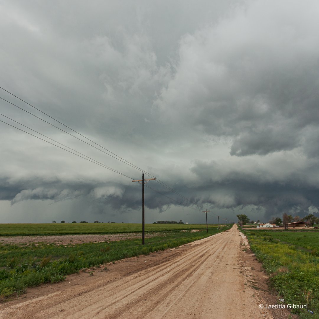 Éditions Marchialy tweet media