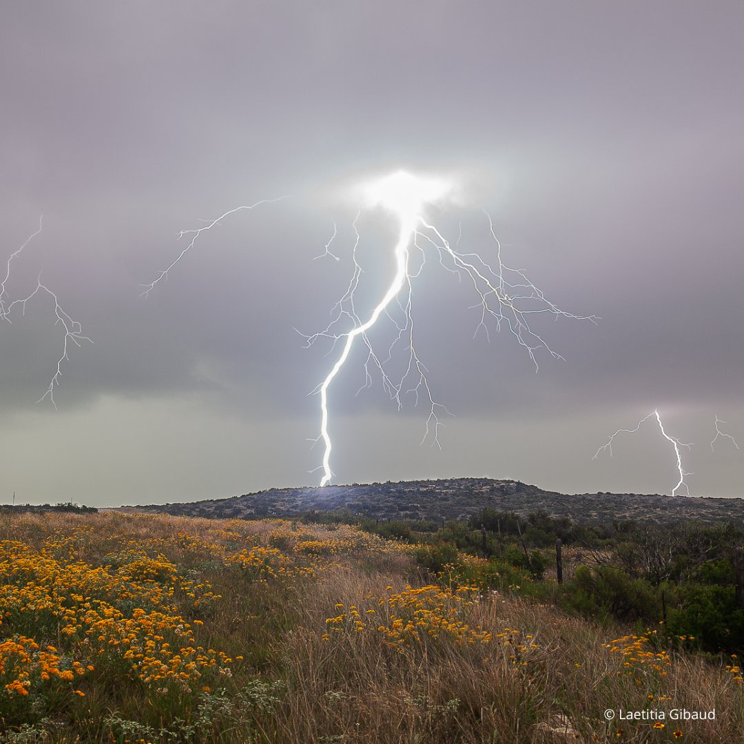 Éditions Marchialy tweet media