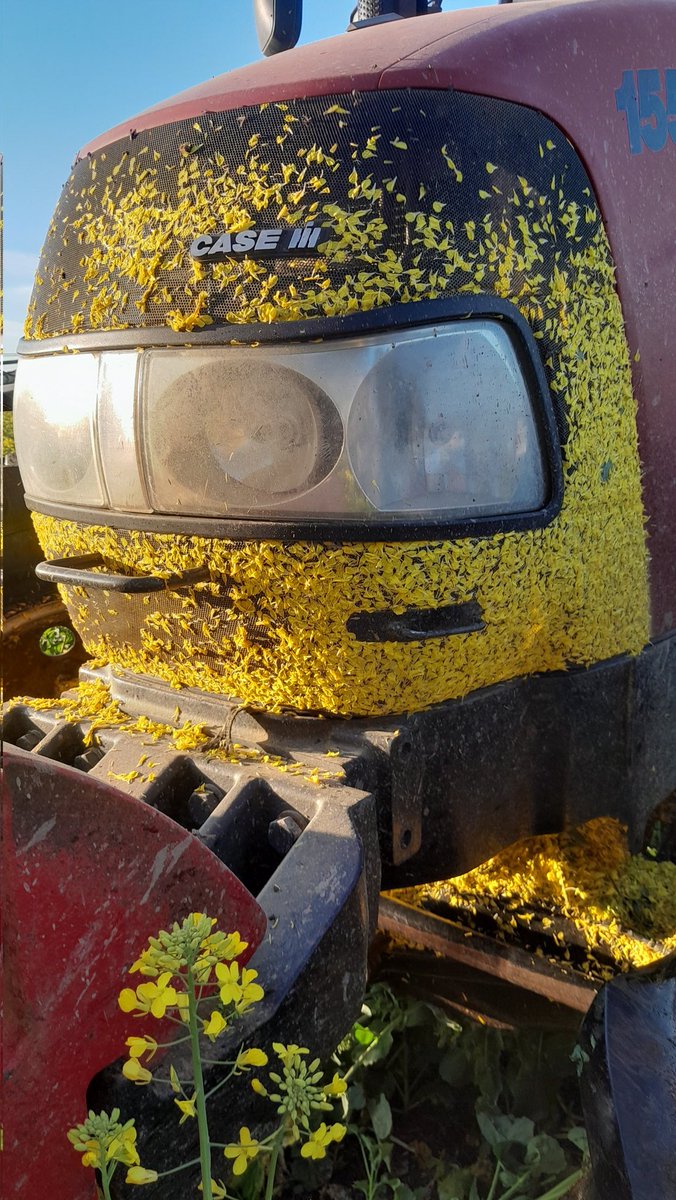 That time of the year again <a href="/pioneerseedsau/">Pioneer Seeds - Australia</a>