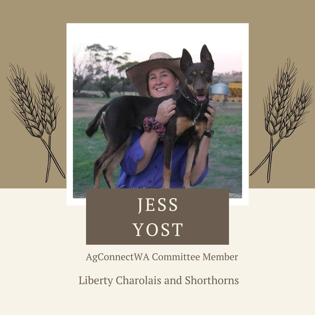 AgConnectWA tweet media