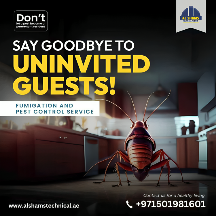 ALSHAMSLLC's tweet photo. No pests, no worries

CALL US- 0501981601

#pestcontrol #pestcontrolservice #pest #termitecontrol #pestmanagement #bedbugs #bugs #insects #termites #pests #pestcontrollife #ants #pestcontrolprofessionals #termite #covid #rayap #exterminator #pestcontrolservices #pestfree #mice https://t.co/pP51yrm3Ke