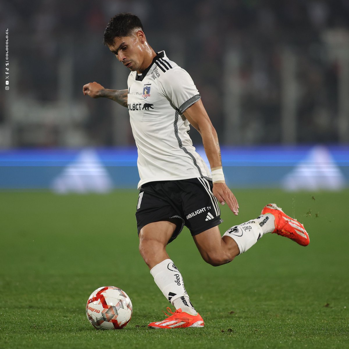 Colo-Colo tweet media