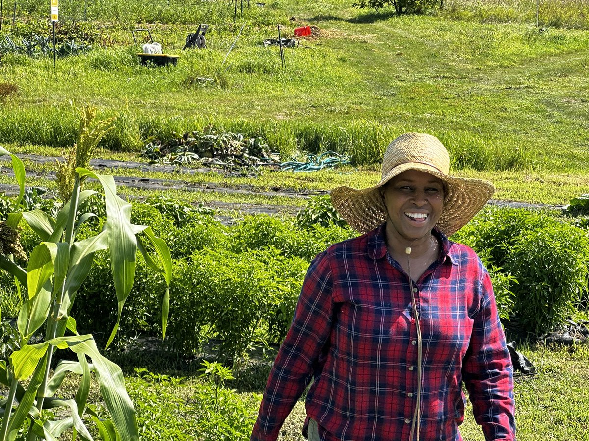 Mr. Patrice Bailey tweet media