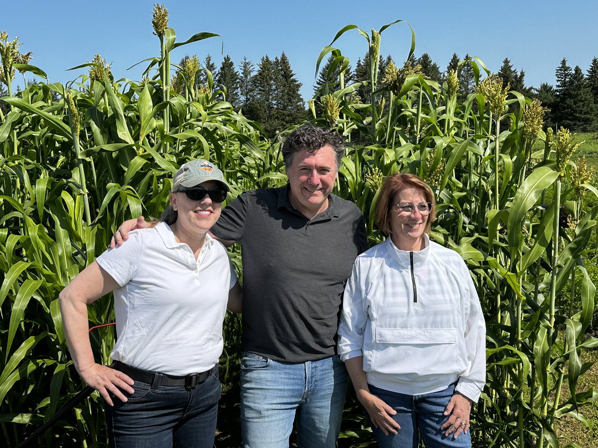 Mr. Patrice Bailey tweet media