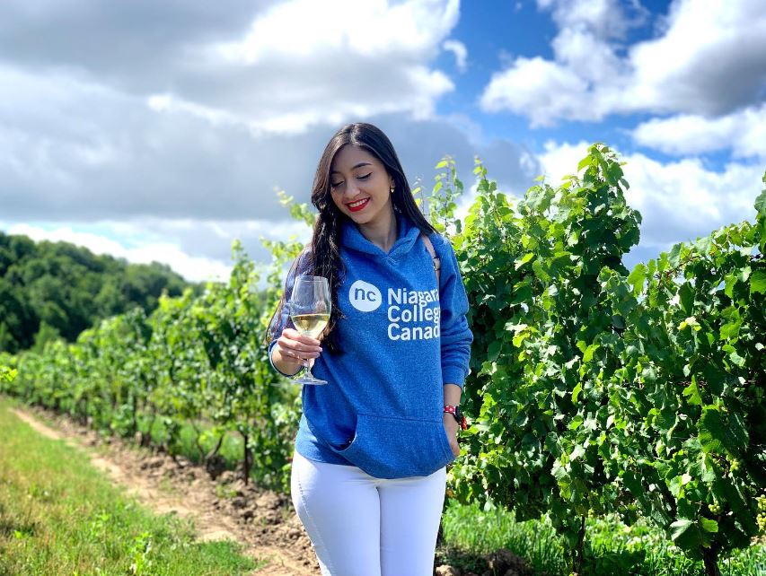 Meet the Member! In 2000 Niagara College established the Winery &amp; Viticulture Technician program at the Daniel J. Patterson campus in Niagara-on-the-lake. The program is the 1st of its kind in Canada in that the Teaching Winery facilitates the learning enterprise of the program.