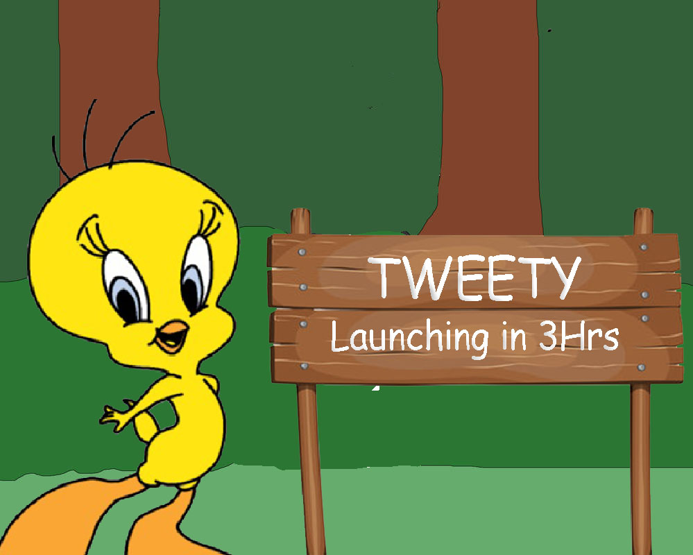 tweet item media