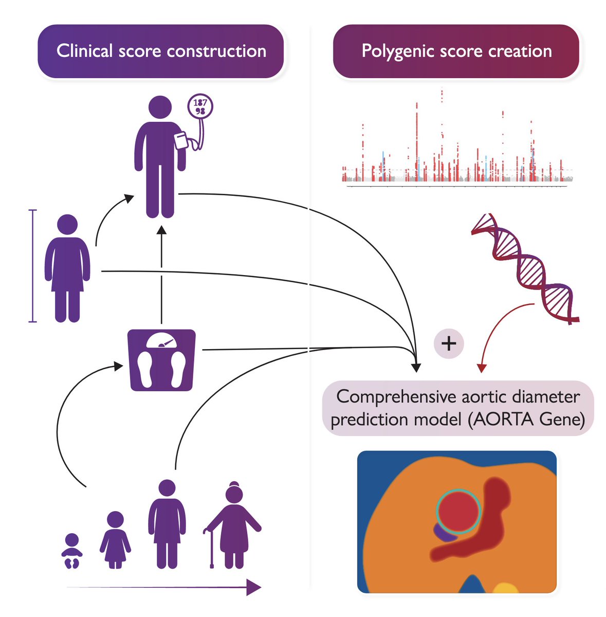 James Pirruccello (@jpirruccello) on Twitter photo Our ascending aortic diameter estimation model incorporating clinical factors and genetics is now out in #EHJ <a href="/ESC_Journals/">European Society of Cardiology Journals</a> Our ascending aortic diameter estimation model incorporating clinical factors and genetics is now out in #EHJ <a href="/ESC_Journals/">European Society of Cardiology Journals</a>