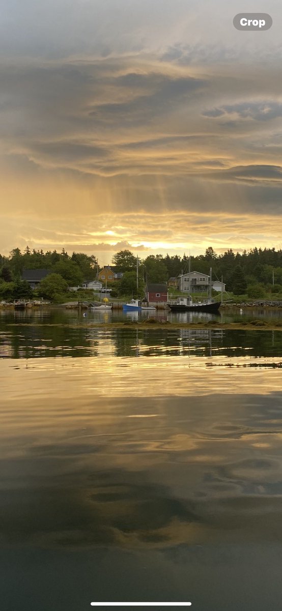 deoghe's tweet photo. Shad Bay NS
@EASTCOASTLIFEST https://t.co/x0QFORzicD