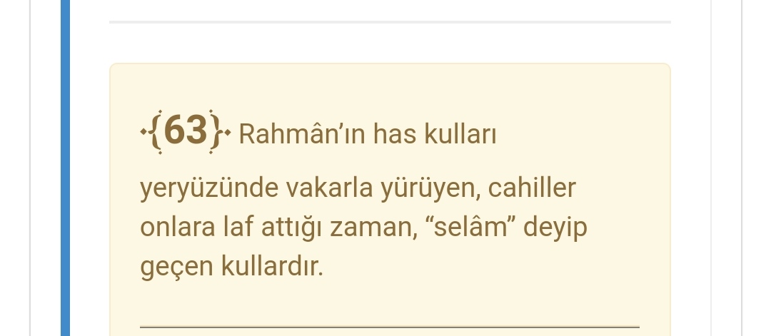 Rahmanın has kulları 
Furkan 63. Ayet.