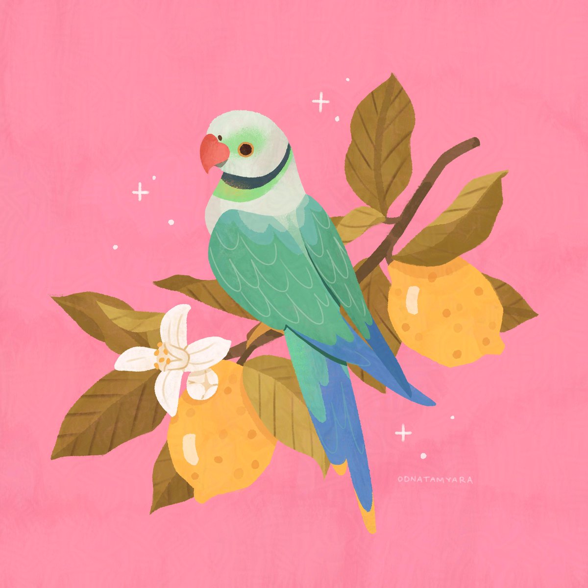 odnatamyara's tweet image. I'm a bit low on paying my insurance to get my ADHD meds, so I'm opening a few spots for emergency pet portraits 🐈‍⬛ shares are super appreciated!!