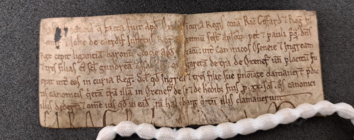 BLMedieval's tweet photo. Today's new blogpost, by @RFMacLellan, is called Fine Along the Dotted Line

(We do like a nice pun)

https://t.co/GAc4GVC2xf
#HiddenCollections https://t.co/rdrINl8EYK